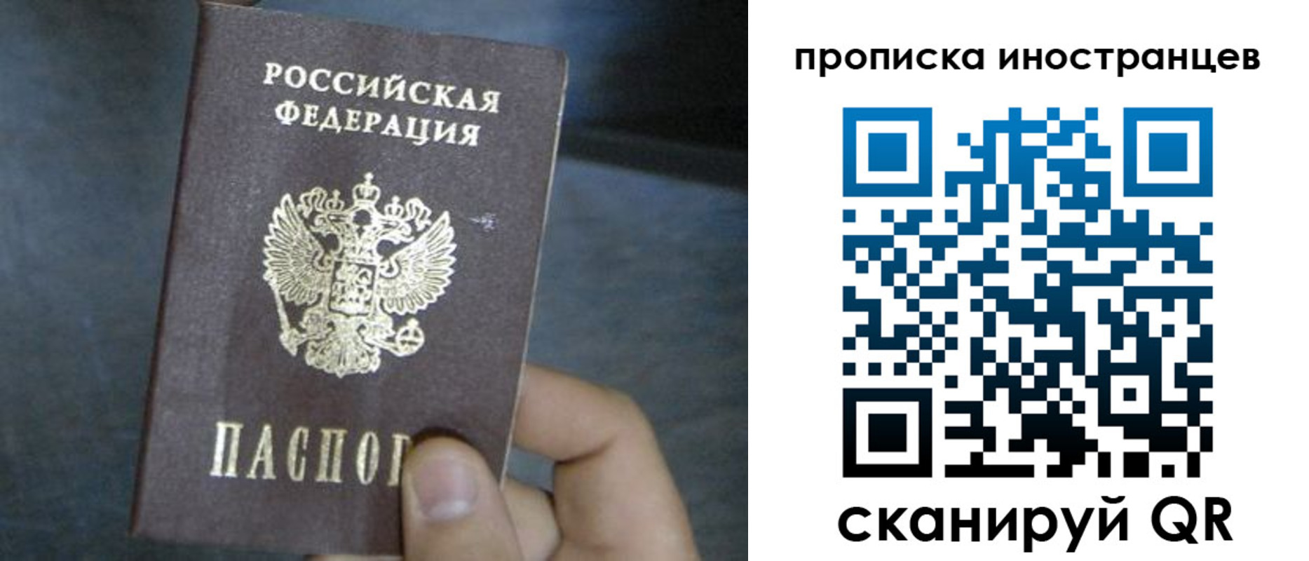 прописка в квартире в Алексеевке