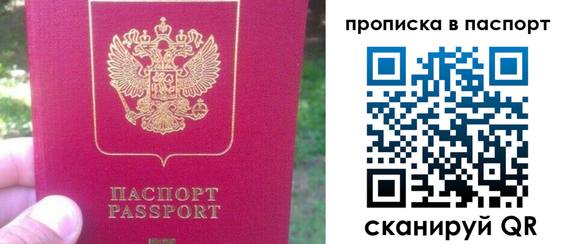 временная регистрация для всех в Алексеевке